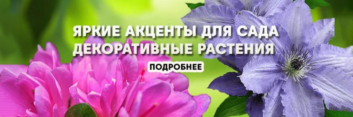 Декоративные растения